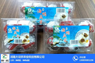 廣西北海紅樹(shù)林海鴨蛋 河南斯農(nóng) 海鴨蛋廠(chǎng)家
